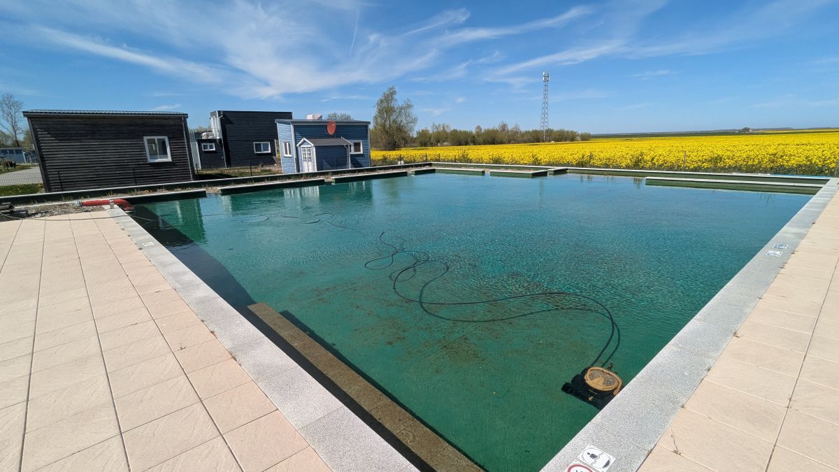 Naturpool Nahaufnahme Prima Resort Boddenblick – klares türkises Wasser Ostsee